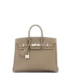 Hermes Birkin Handbag Grey Togo with Palladium Hardware 25