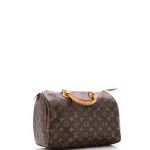 Louis Vuitton Speedy Handbag Monogram Canvas 30