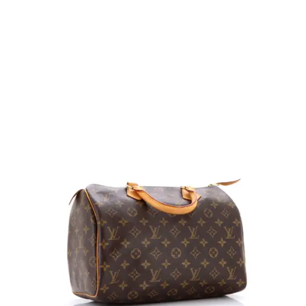 Louis Vuitton Speedy Handbag Monogram Canvas 30