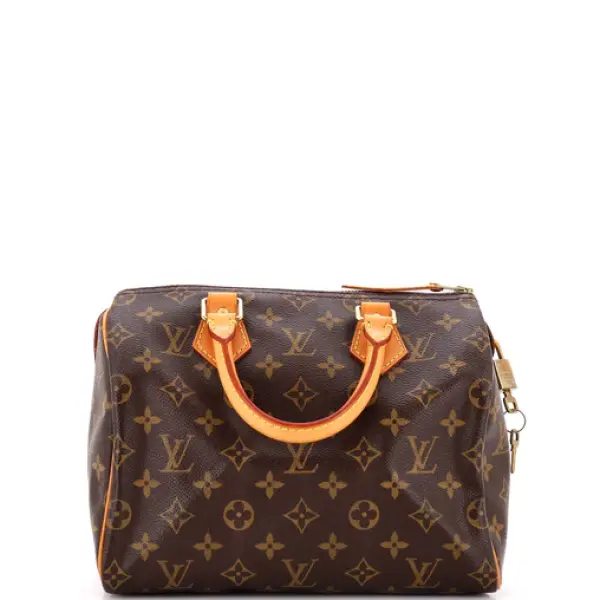 Louis Vuitton Speedy Handbag Monogram Canvas 25