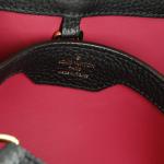 Louis Vuitton Capucines Bag Leather PM