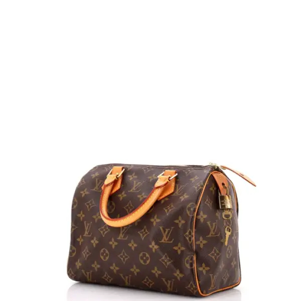 Louis Vuitton Speedy Handbag Monogram Canvas 25