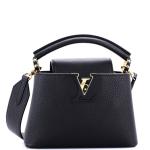Louis Vuitton Capucines Bag Leather Mini