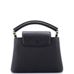 Louis Vuitton Capucines Bag Leather Mini