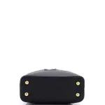 Louis Vuitton Capucines Bag Leather Mini